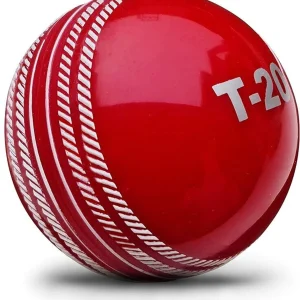 Jaspo T-20 Cricket Ball/Wind Balls for- indoor & Outdoor Street & Beach Cricket Synthetic Ball